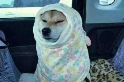 Ϊʲô˵������ů���²����22�������������������(ͼ2)